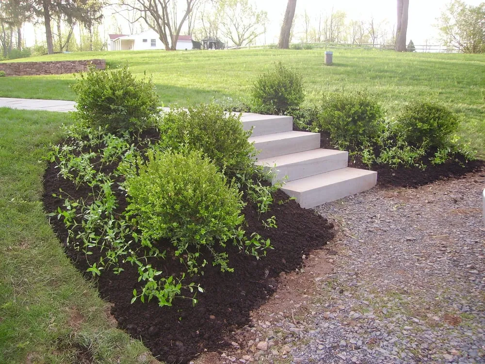 Reliable lawn care service in Allentown, PA - AJ Wildflower Landscape Maintenance