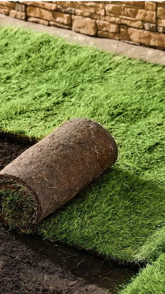 Local yard cleanup service in Santa Rosa, CA by A&J Yard Service