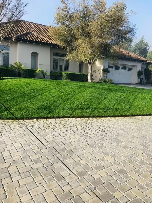 Professional yard cleanup service for residential properties across Castroville, CA - AJA Landscaping