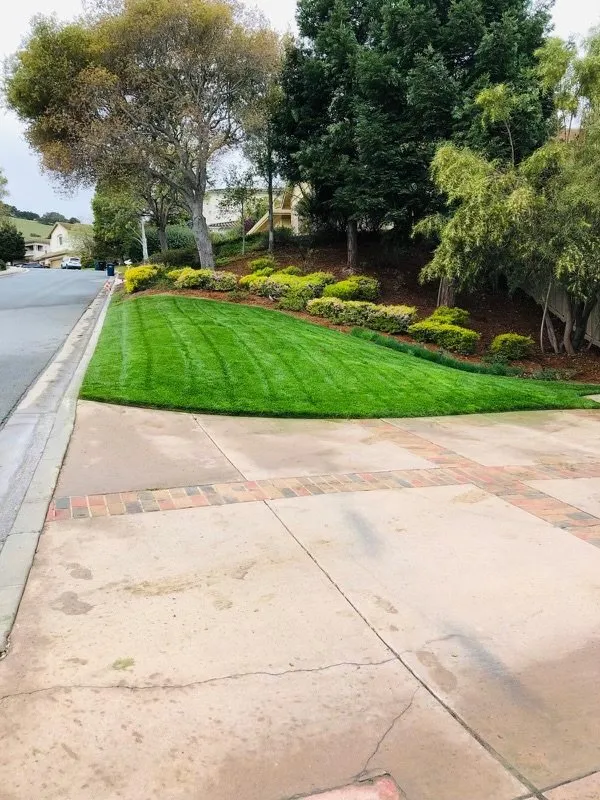 Top-rated yard maintenance in Castroville, CA by AJA Landscaping