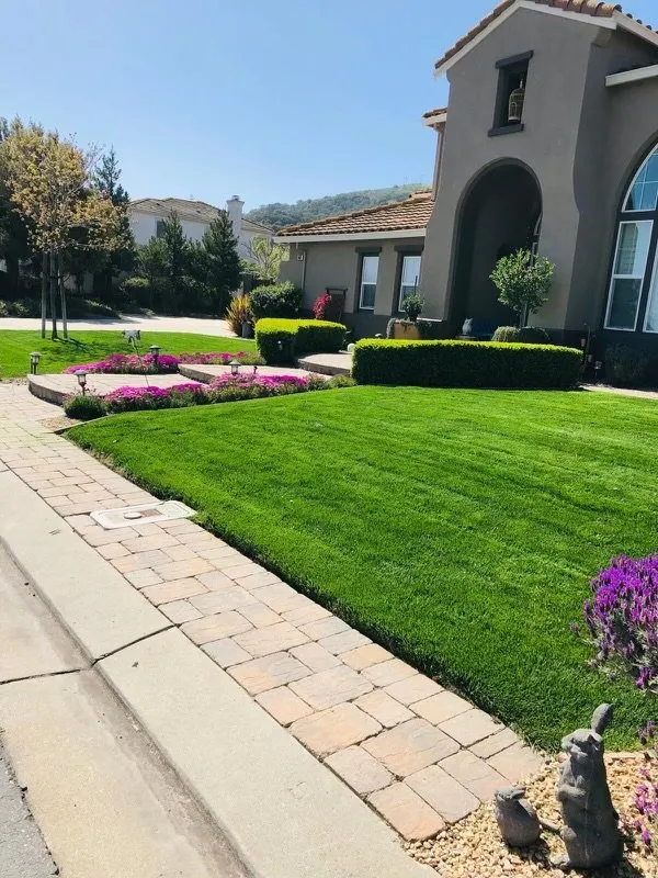 Top-rated lawn care service for homes in Castroville, CA by AJA Landscaping
