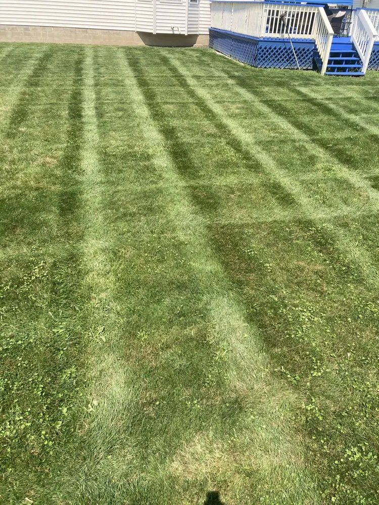 Reliable yard maintenance in Youngstown, OH - AJ&A Snow Removal and Lawn Care