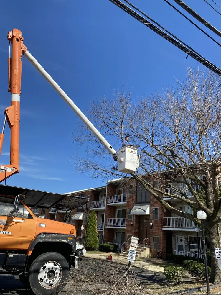 Top-rated residential landscaping for beautiful yards in Croydon, PA by Ajanel Tree Service