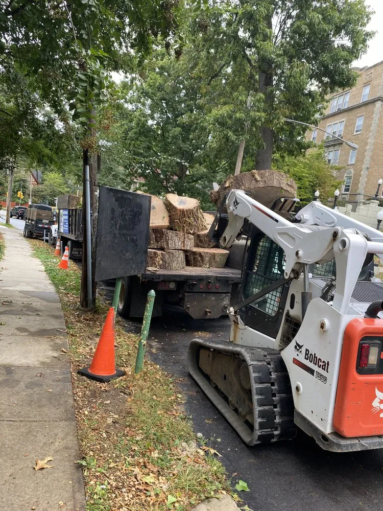 Custom landscape installation experts serving Croydon, PA - Ajanel Tree Service