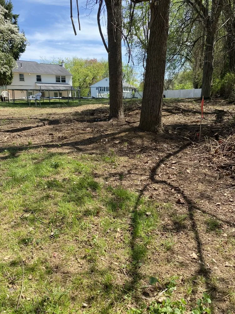 Affordable lawn mowing service for homes in Croydon, PA by Ajanel Tree Service