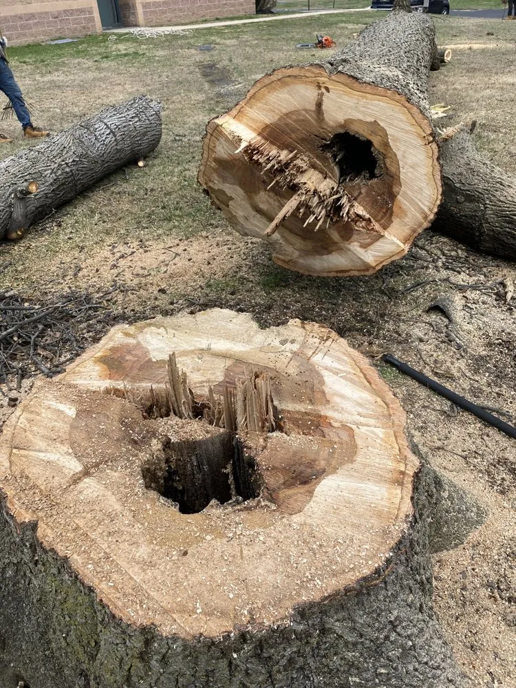 Affordable outdoor landscaping near you in Croydon, PA by Ajanel Tree Service