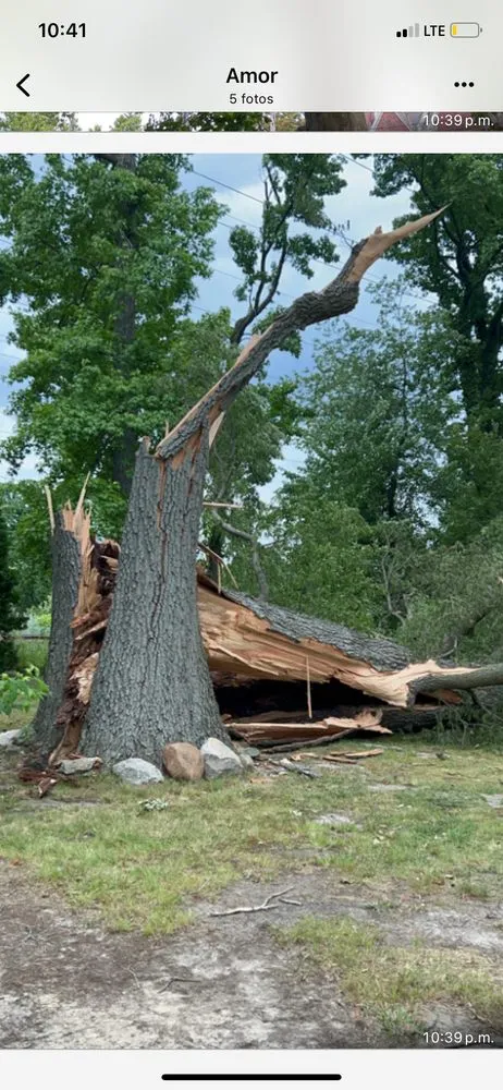 Top-rated landscape installation in Croydon, PA - Ajanel Tree Service