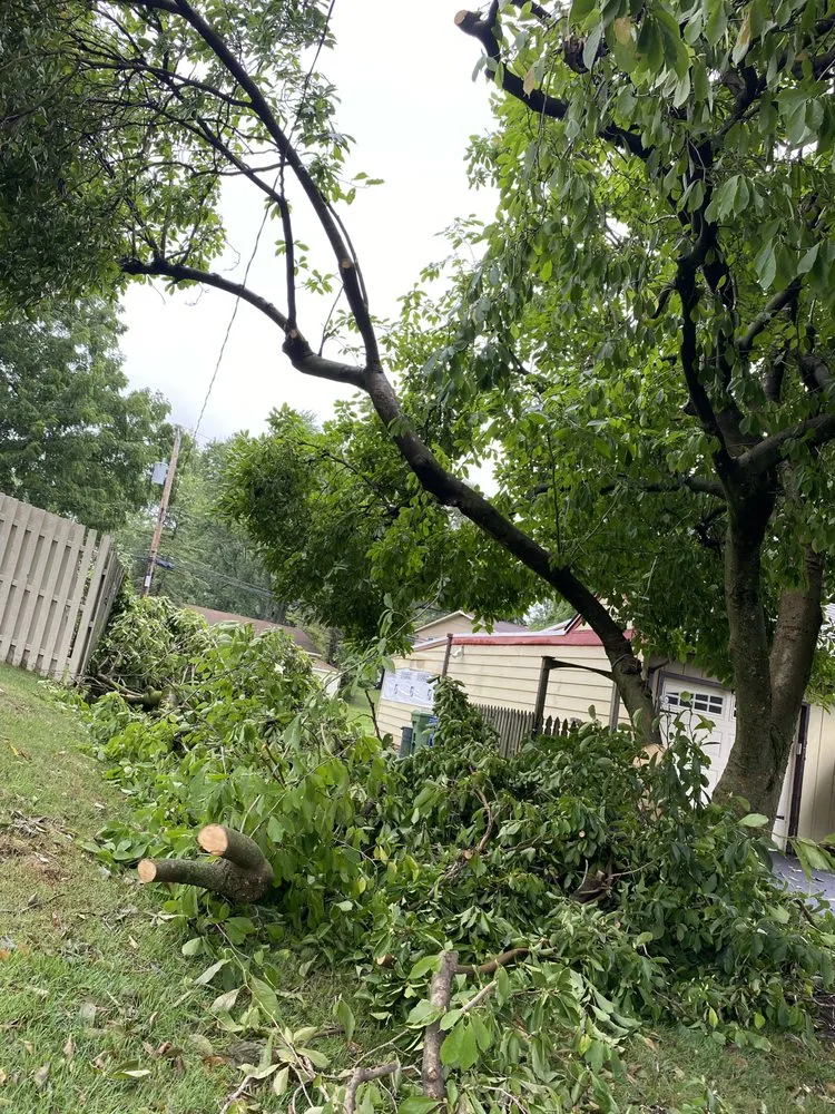 Custom landscape design in Croydon, PA - Ajanel Tree Service