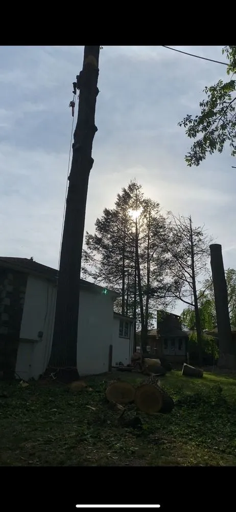 Local residential landscaping for outdoor upgrades in Croydon, PA by Ajanel Tree Service