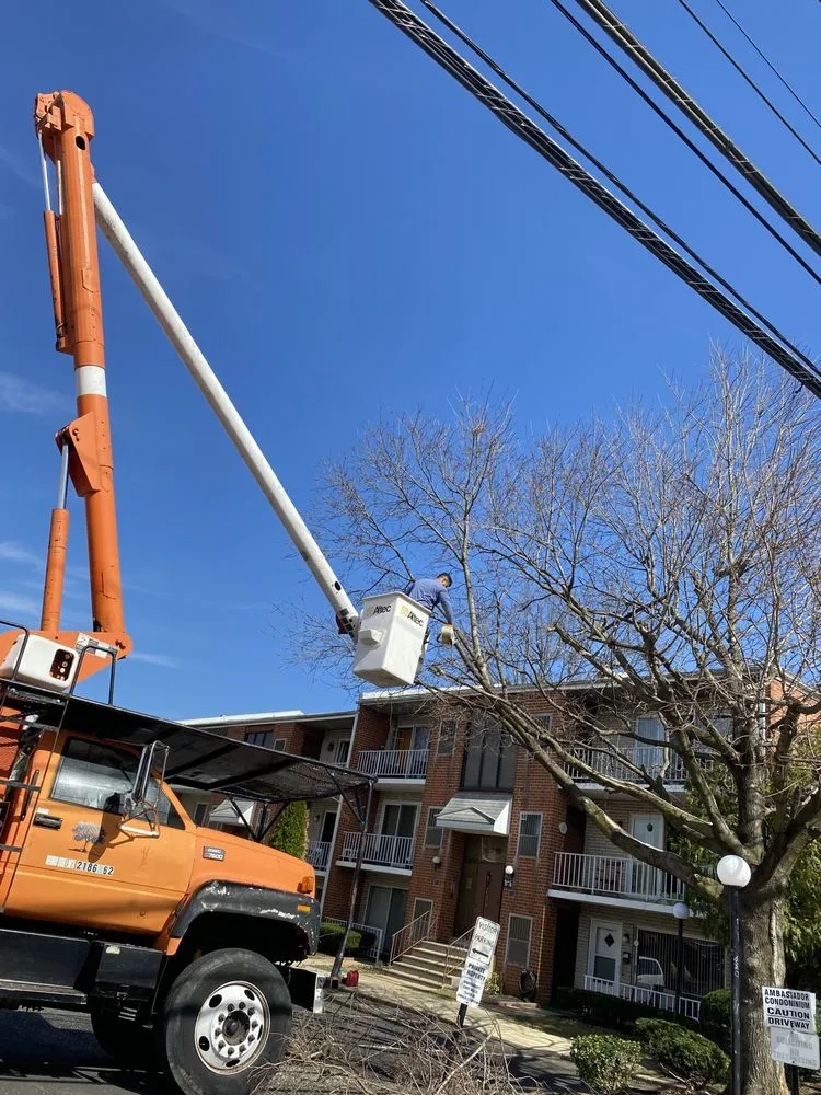 Affordable garden landscaping for residential properties in Croydon, PA by Ajanel Tree Service