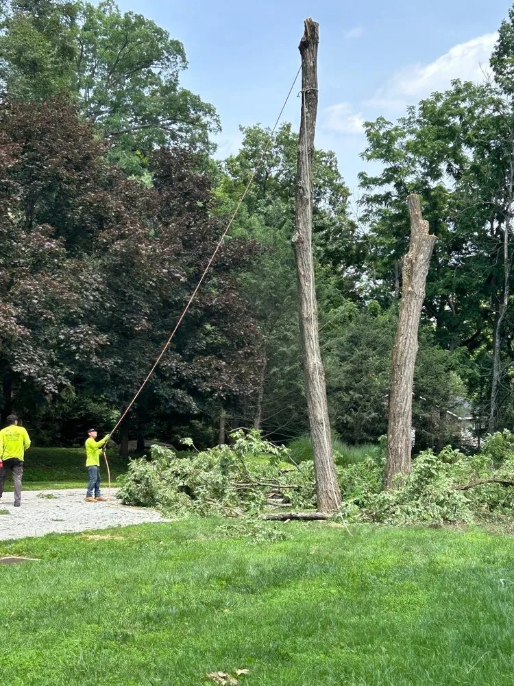 Expert yard maintenance in Croydon, PA by Ajanel Tree Service