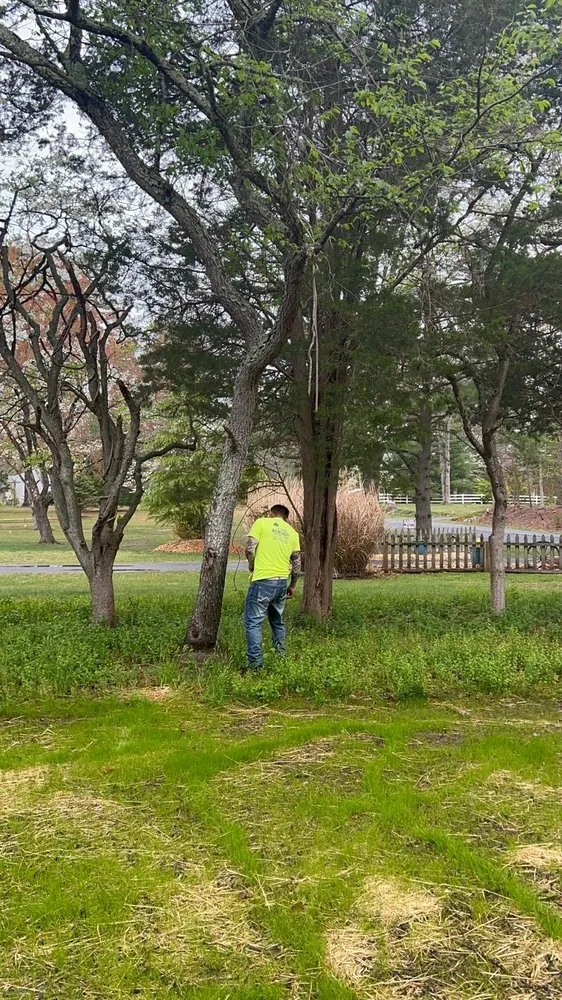 Professional landscape design experts serving Croydon, PA - Ajanel Tree Service