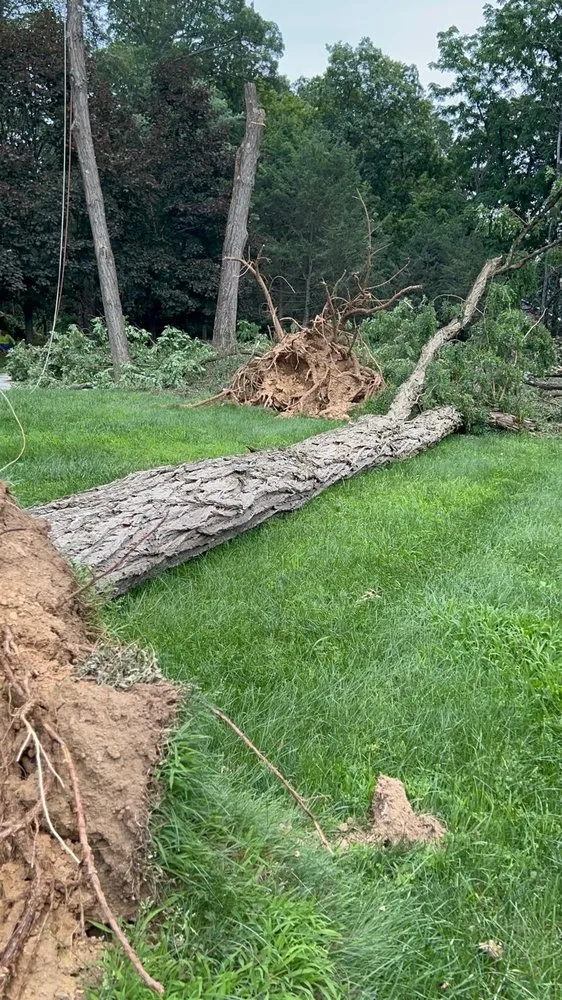 Top-rated lawn mowing service for residential properties in Croydon, PA by Ajanel Tree Service