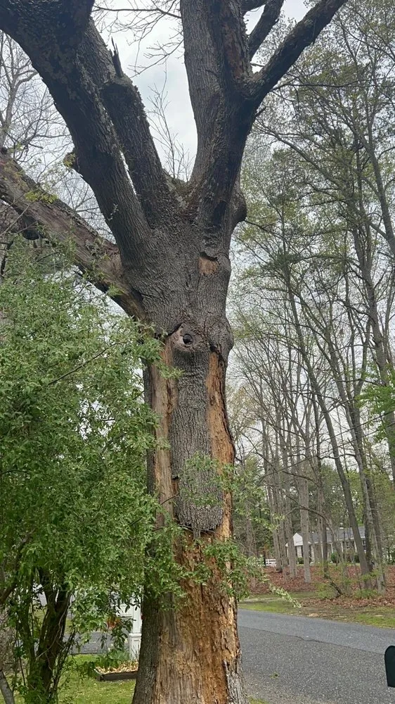 Local garden landscaping experts serving Croydon, PA - Ajanel Tree Service