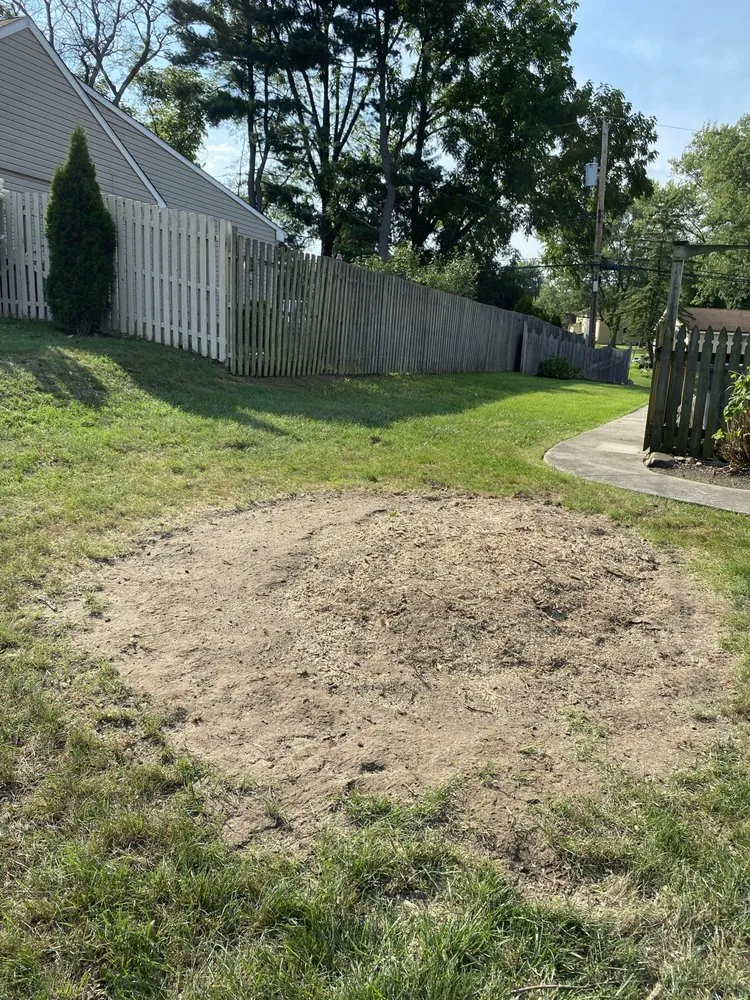 Expert yard cleanup service experts serving Croydon, PA - Ajanel Tree Service