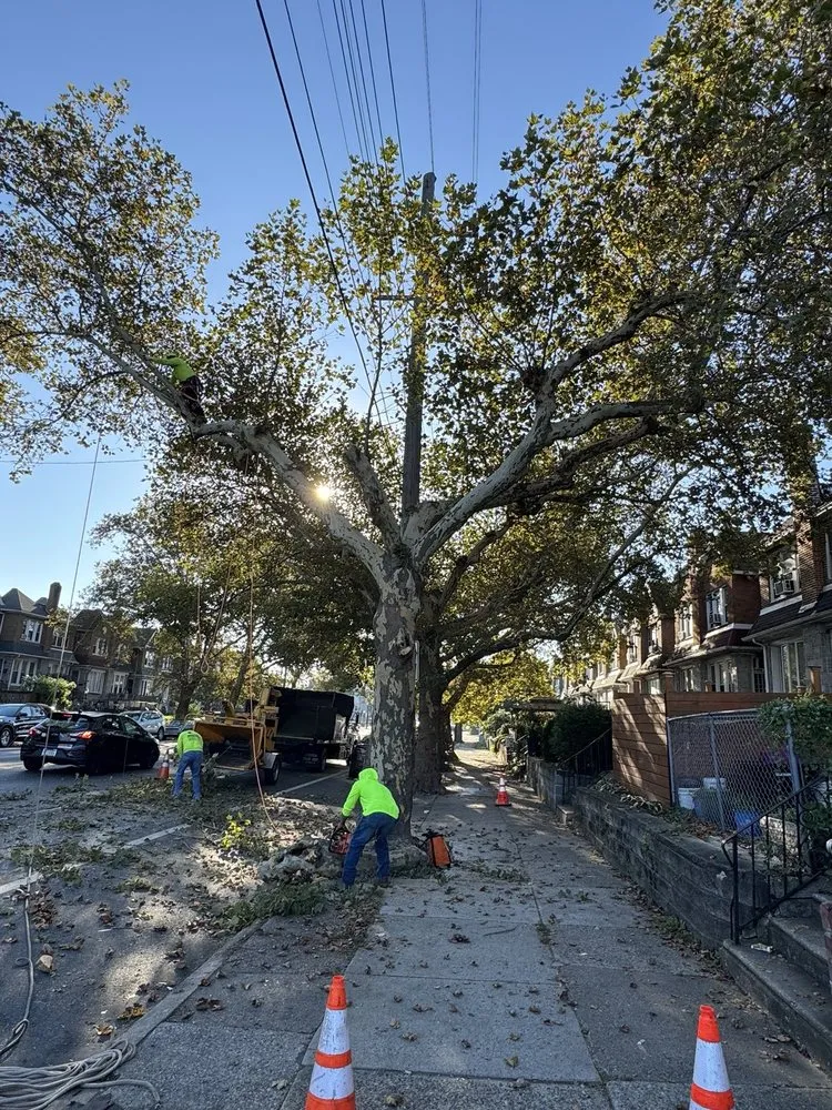 Expert garden landscaping experts serving Croydon, PA - Ajanel Tree Service