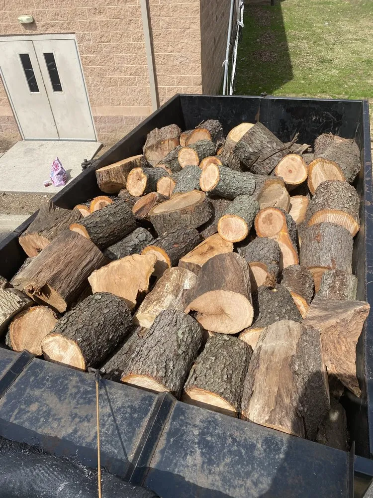 Trusted landscape design in Croydon, PA - Ajanel Tree Service