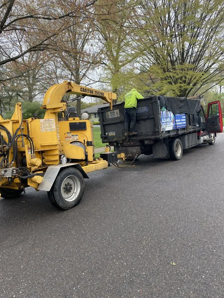 Reliable outdoor landscaping for homes in Croydon, PA by Ajanel Tree Service