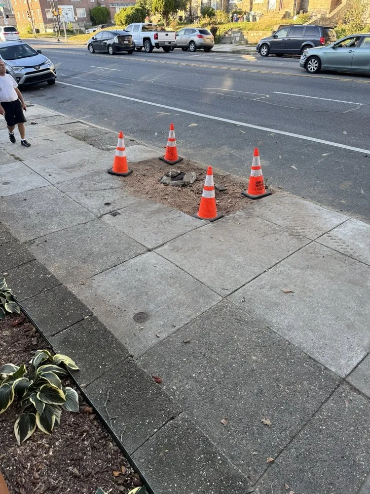 Trusted yard maintenance in Croydon, PA - Ajanel Tree Service