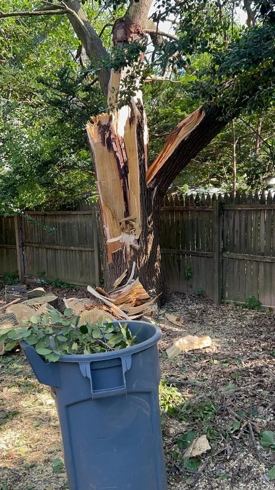 Reliable landscape design for beautiful yards across Croydon, PA - Ajanel Tree Service