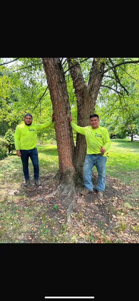 Expert landscaping services for beautiful yards in Croydon, PA by Ajanel Tree Service