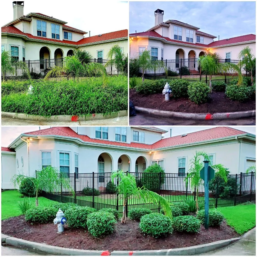 Top-rated landscape design for beautiful yards across Metairie, LA - AJax Landscape