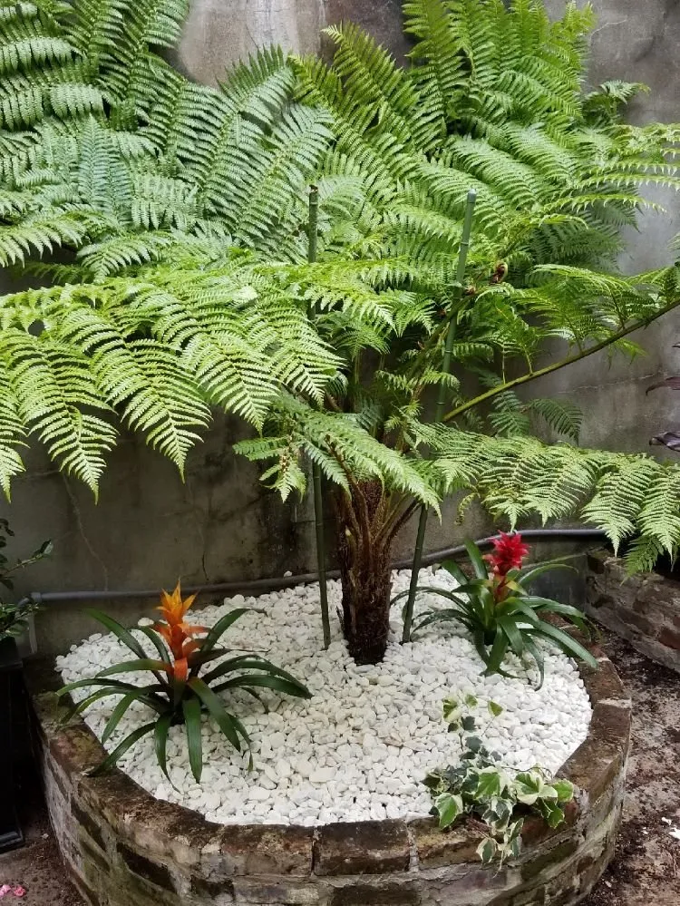 Custom lawn mowing service experts serving Metairie, LA - AJax Landscape