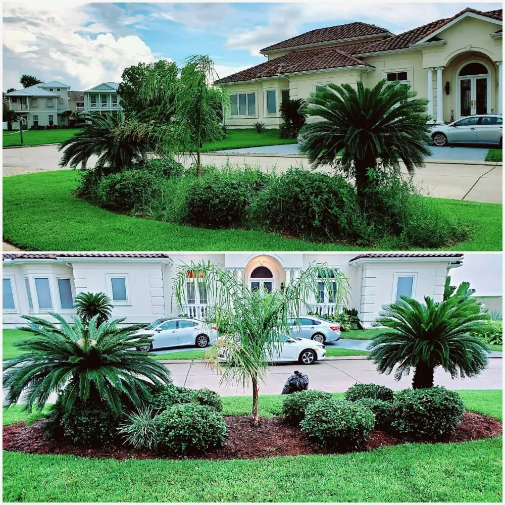Expert yard maintenance in Metairie, LA - AJax Landscape