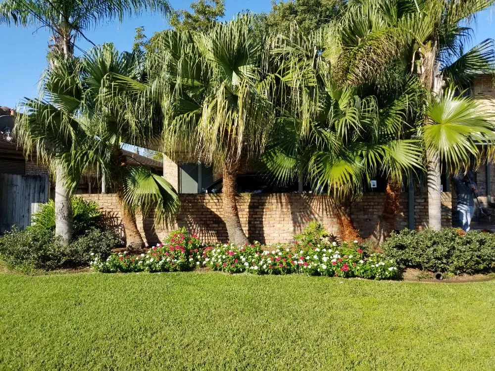 Top-rated landscaping services in Metairie, LA by AJax Landscape