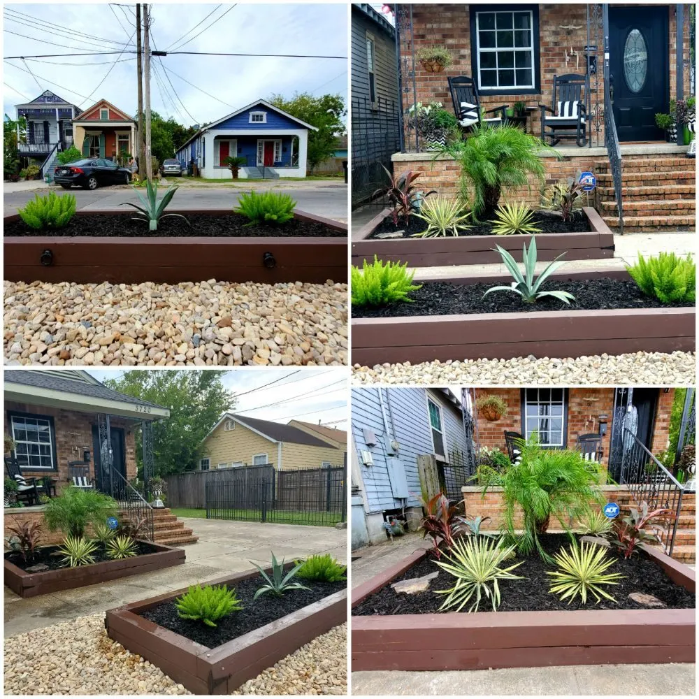Expert landscaping services for year-round maintenance in Metairie, LA by AJax Landscape