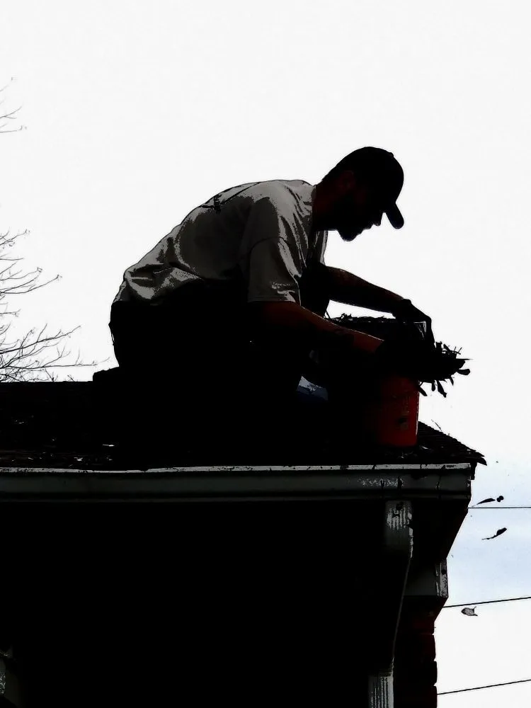 Top-rated landscaping services in Metairie, LA - AJax Landscape