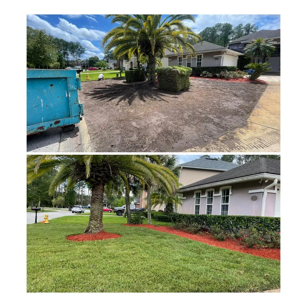 Expert yard cleanup service in Jacksonville, FL - Ajax Lawn And Handyman Service