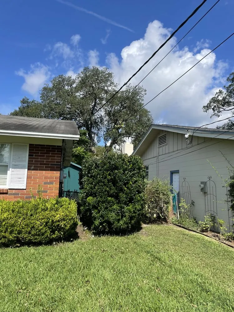 Custom yard maintenance experts serving Jacksonville, FL - Ajax Lawn And Handyman Service