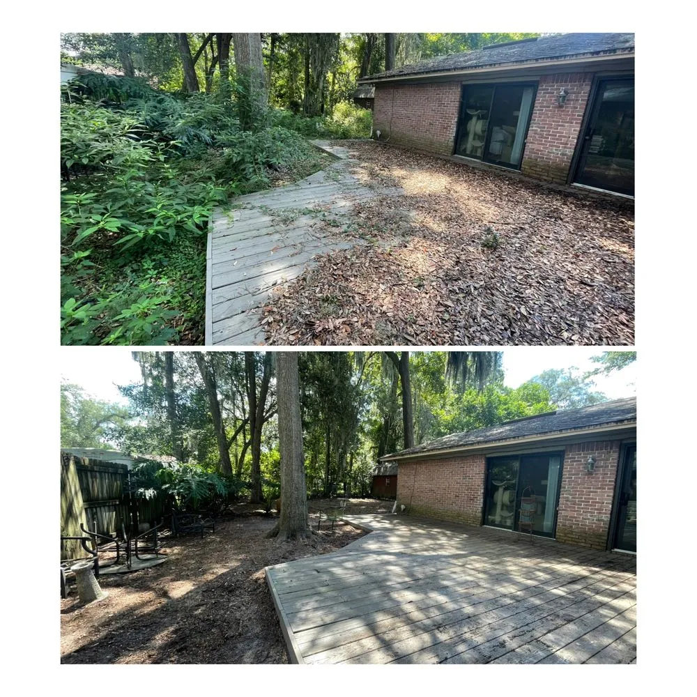 Local lawn care service in Jacksonville, FL - Ajax Lawn And Handyman Service