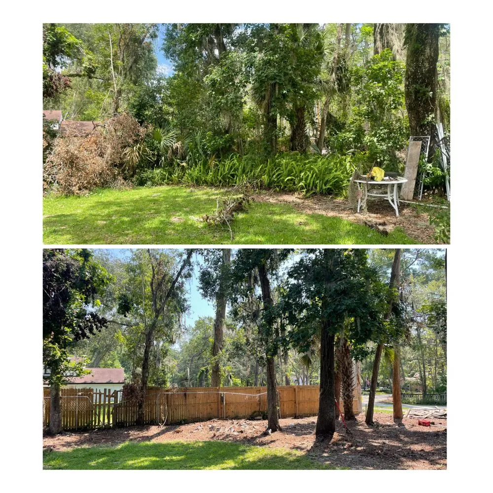 Top-rated landscaping services near you across Jacksonville, FL - Ajax Lawn And Handyman Service