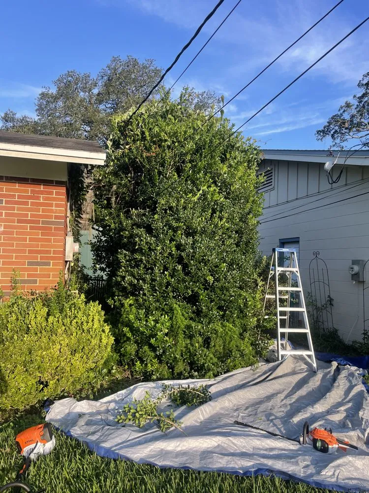 Trusted landscape design in Jacksonville, FL by Ajax Lawn And Handyman Service