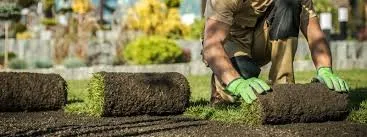 Local yard cleanup service in Louisville, KY by Ajays Legacy