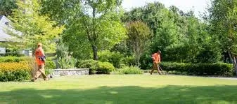 Professional yard cleanup service in Louisville, KY - Ajays Legacy