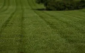 Expert lawn mowing service experts serving Louisville, KY - Ajays Legacy