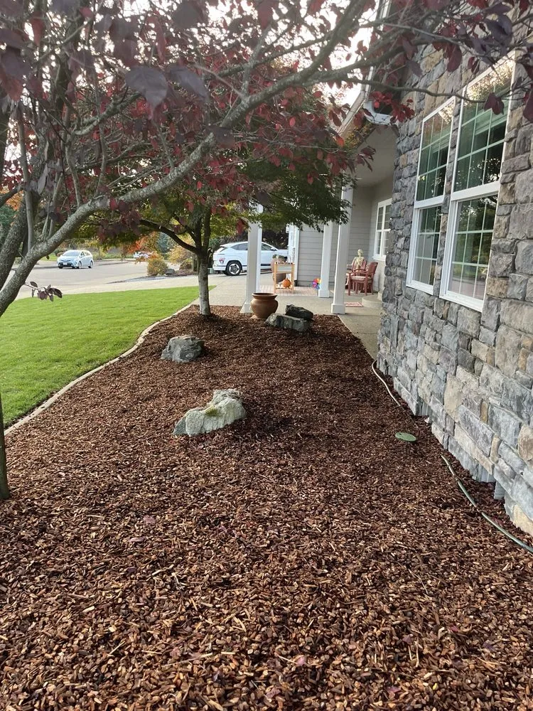 Expert yard maintenance for homes in Olympia, WA by AJB Landscaping & Fence