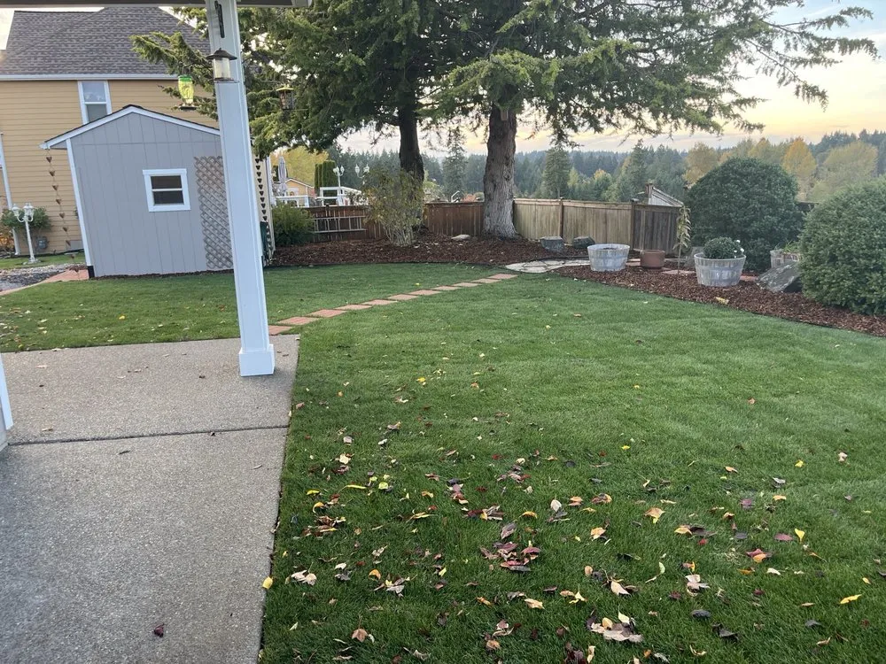 Affordable landscape installation for year-round maintenance across Olympia, WA - AJB Landscaping & Fence