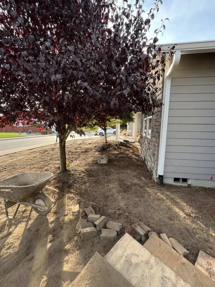 Local yard maintenance in Olympia, WA - AJB Landscaping & Fence