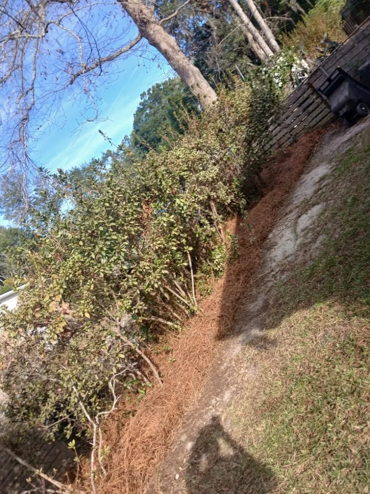 Top-rated landscape design near you across Midway, GA - AJB Lawn and Gardening