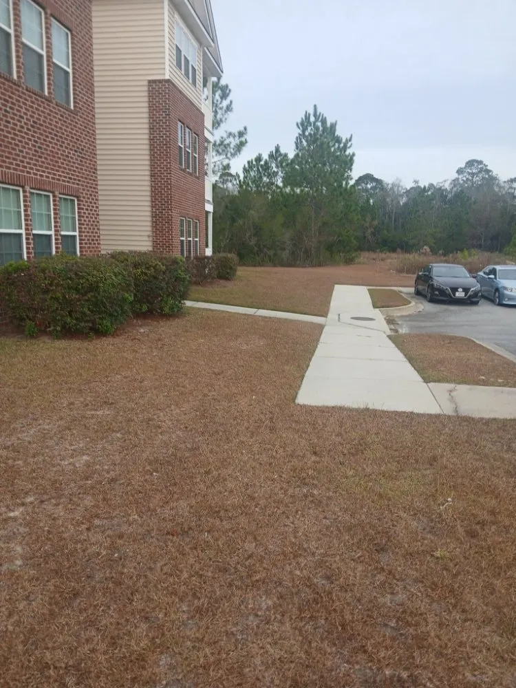 Custom residential landscaping for year-round maintenance across Midway, GA - AJB Lawn and Gardening