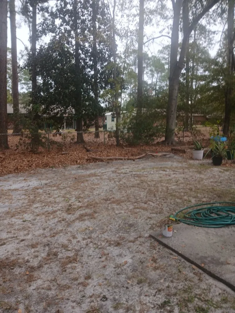 Custom landscaping services in Midway, GA by AJB Lawn and Gardening