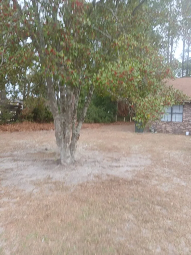 Local yard maintenance in Midway, GA by AJB Lawn and Gardening