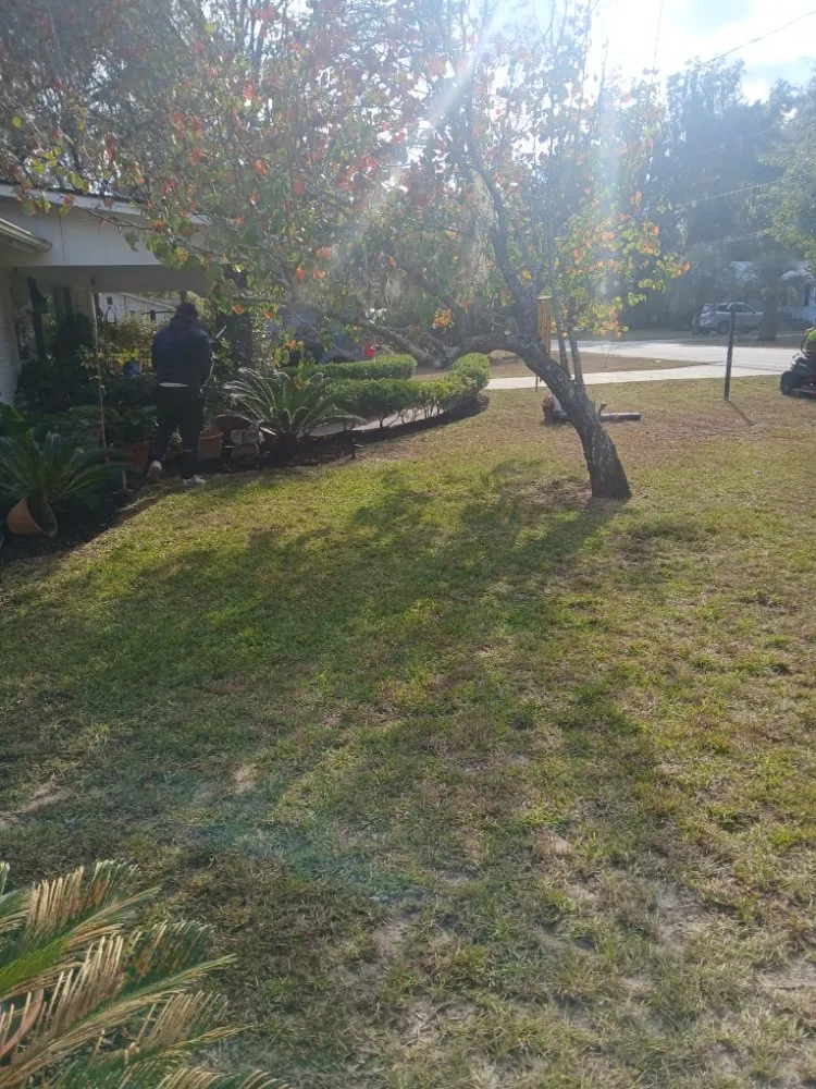 Local landscape design for residential properties in Midway, GA by AJB Lawn and Gardening