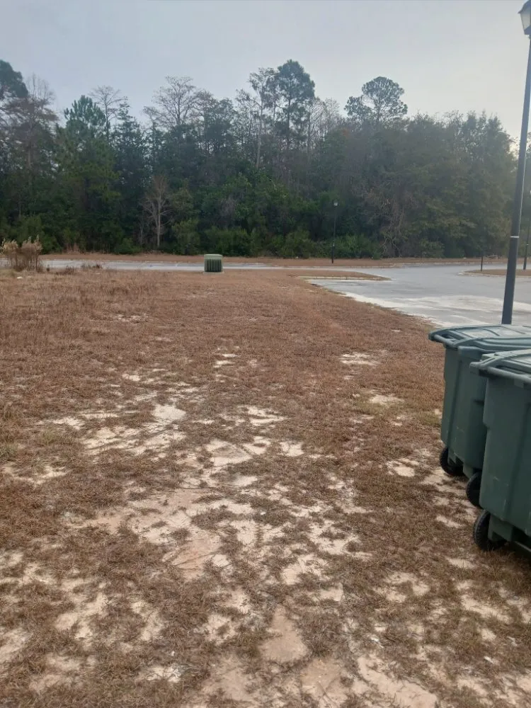 Professional residential landscaping experts serving Midway, GA - AJB Lawn and Gardening