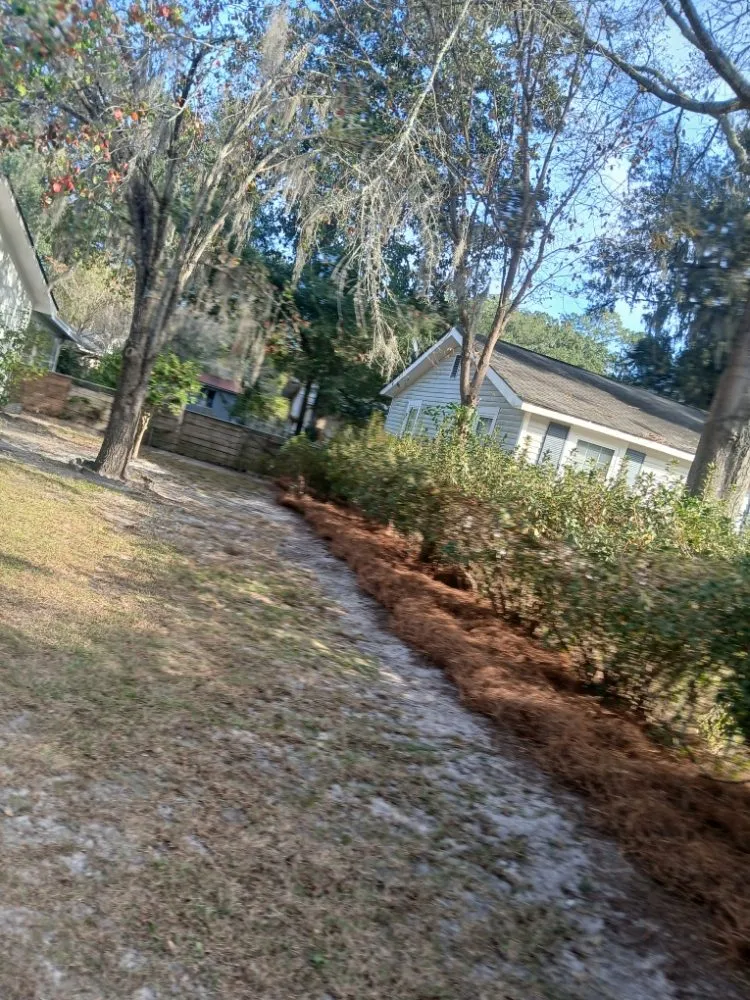 Trusted yard cleanup service experts serving Midway, GA - AJB Lawn and Gardening