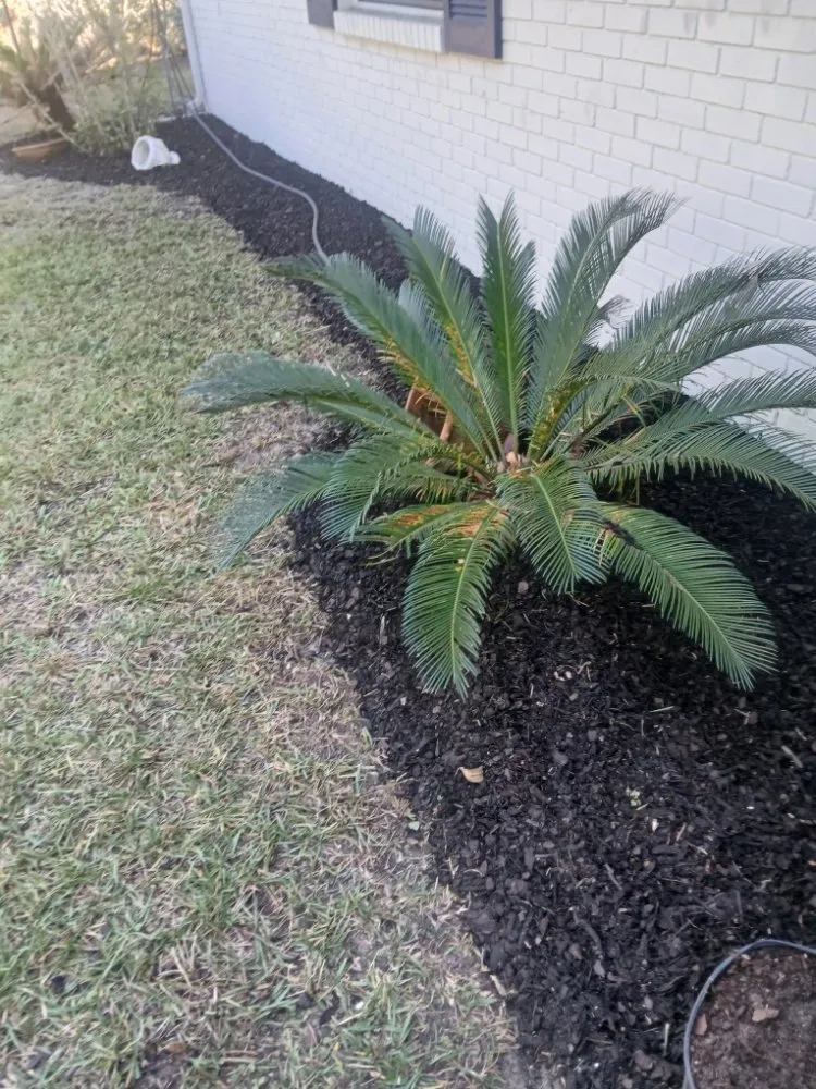 Local outdoor landscaping with custom design in Midway, GA by AJB Lawn and Gardening